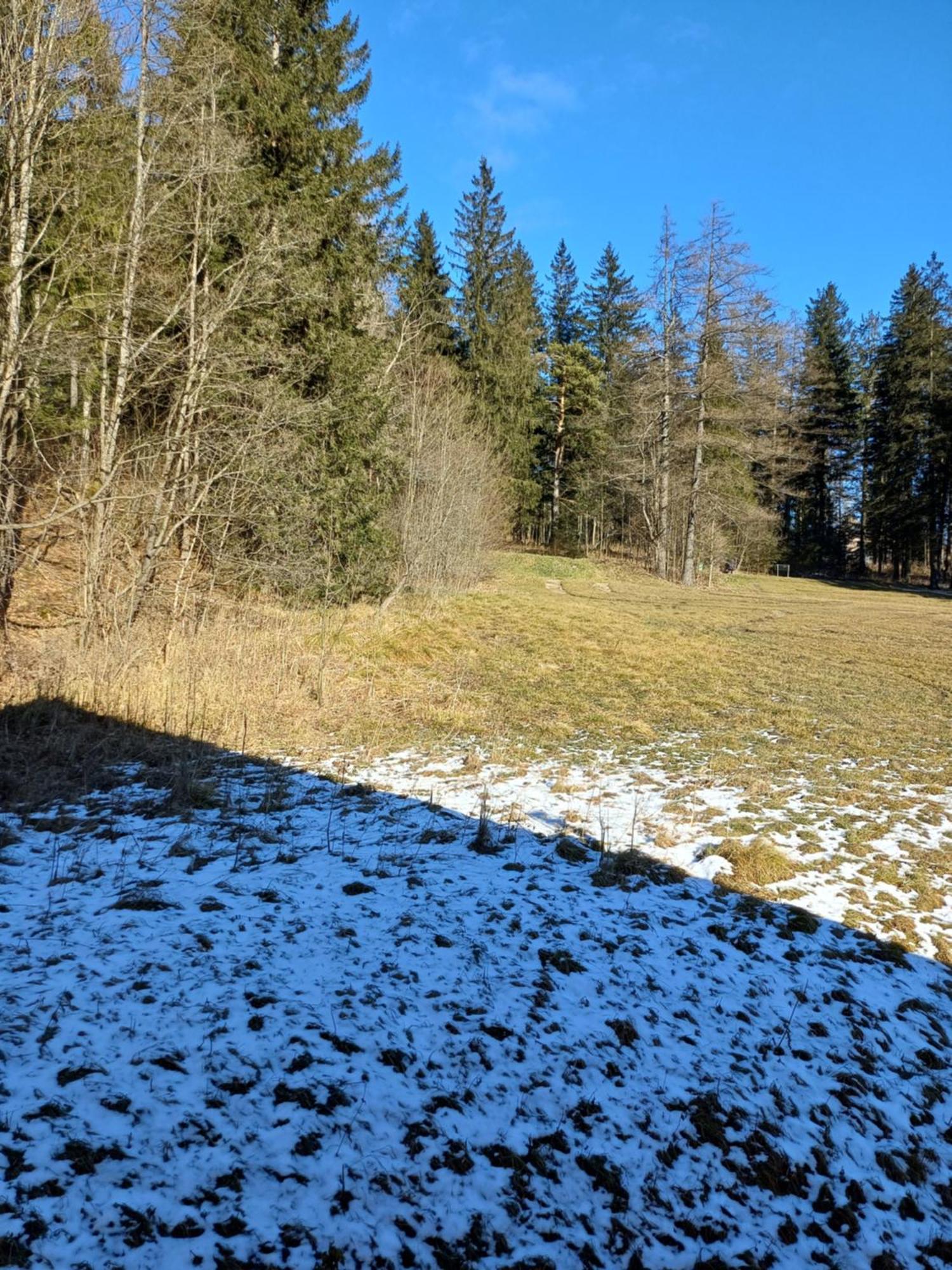 Appartements Dorner, Semmering Steinhaus am Semmering Exterior photo